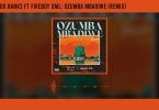Reekado Banks ft. Fireboy DML- Ozumba Mbadiwe (Remix)