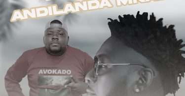 Avokado ft. Dalisoul - Andilanda Nkazi