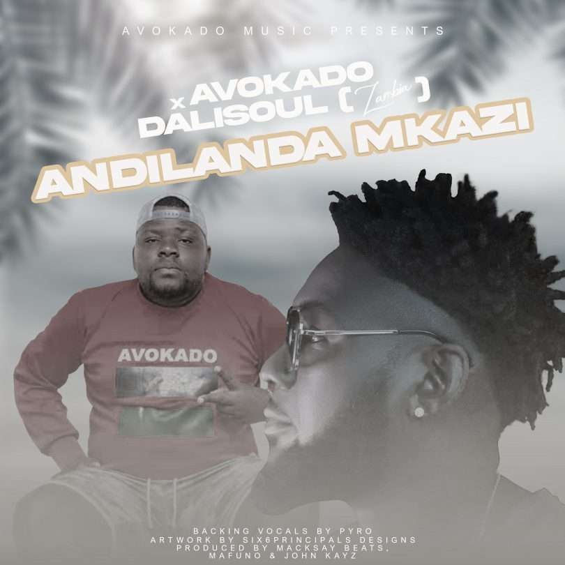 Avokado ft. Dalisoul - Andilanda Nkazi